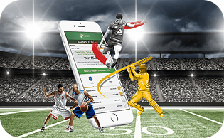 Sports & Fantasy Platforms Sports & Fantasy Platforms