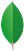 MongoDB