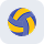 Volleyball icon