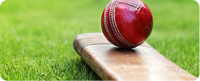 Cricket betting platform